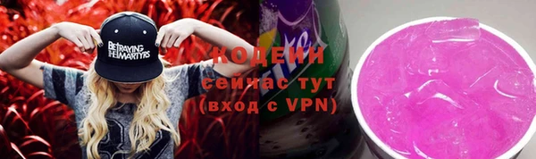 соль ск Богданович