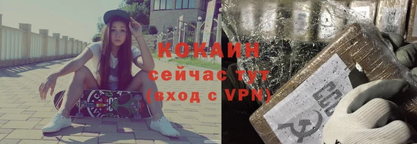 соль ск Богданович