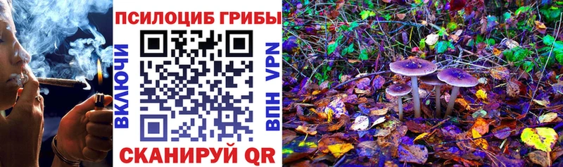 Псилоцибиновые грибы прущие грибы Карачев