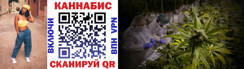 Конопля сатива  даркнет телеграм  Карачев  купить наркотик 